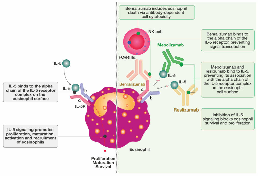 Benralizumab treating asthma